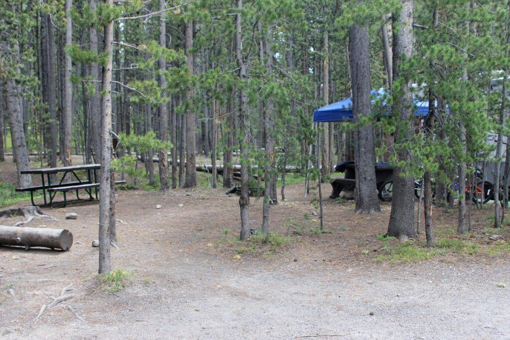 campsite among trees