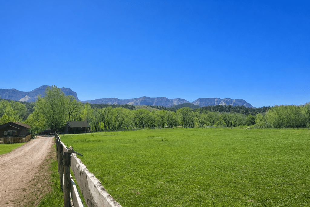 green grassy valley