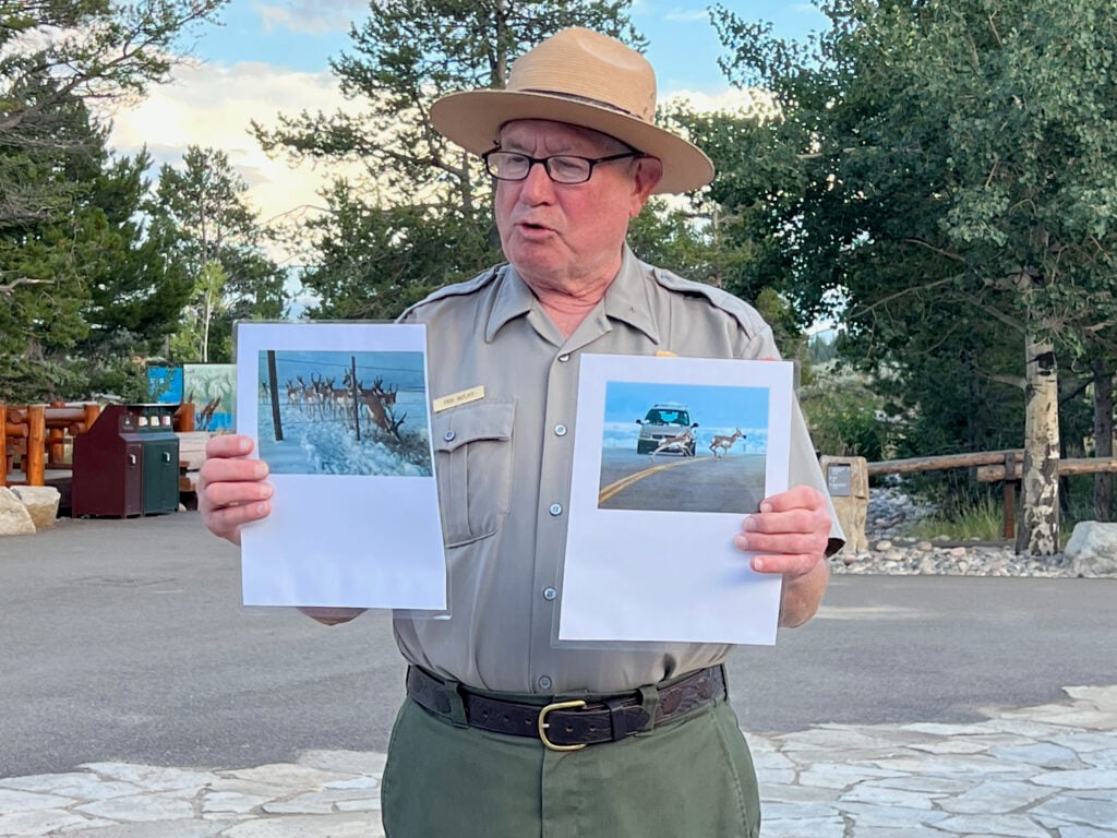 Ranger holding up 2 pictures of antelope in Grand Teton