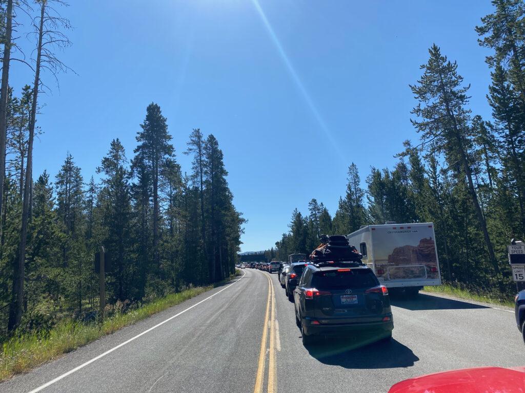 traffic jam in Yellowstone