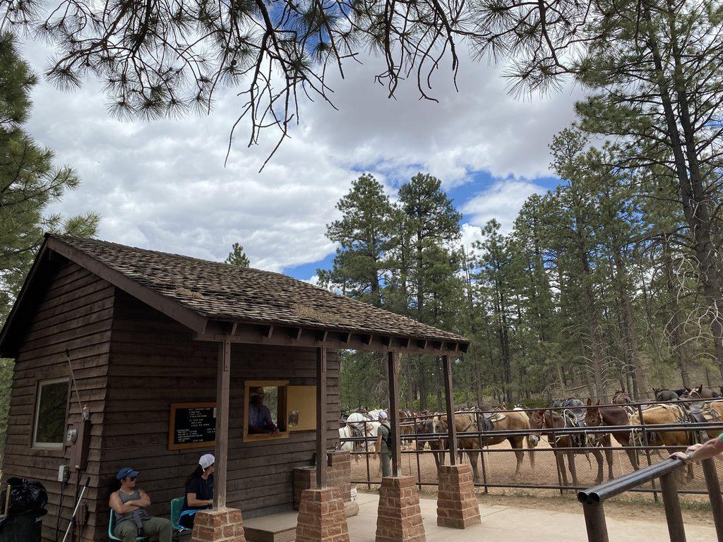 horse stables