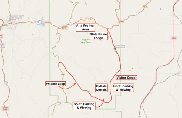 Custer State Park's Annual Buffalo Roundup: Review and Tips
