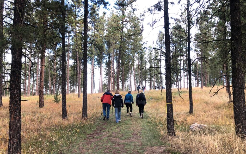 hikers walking up a path through trees