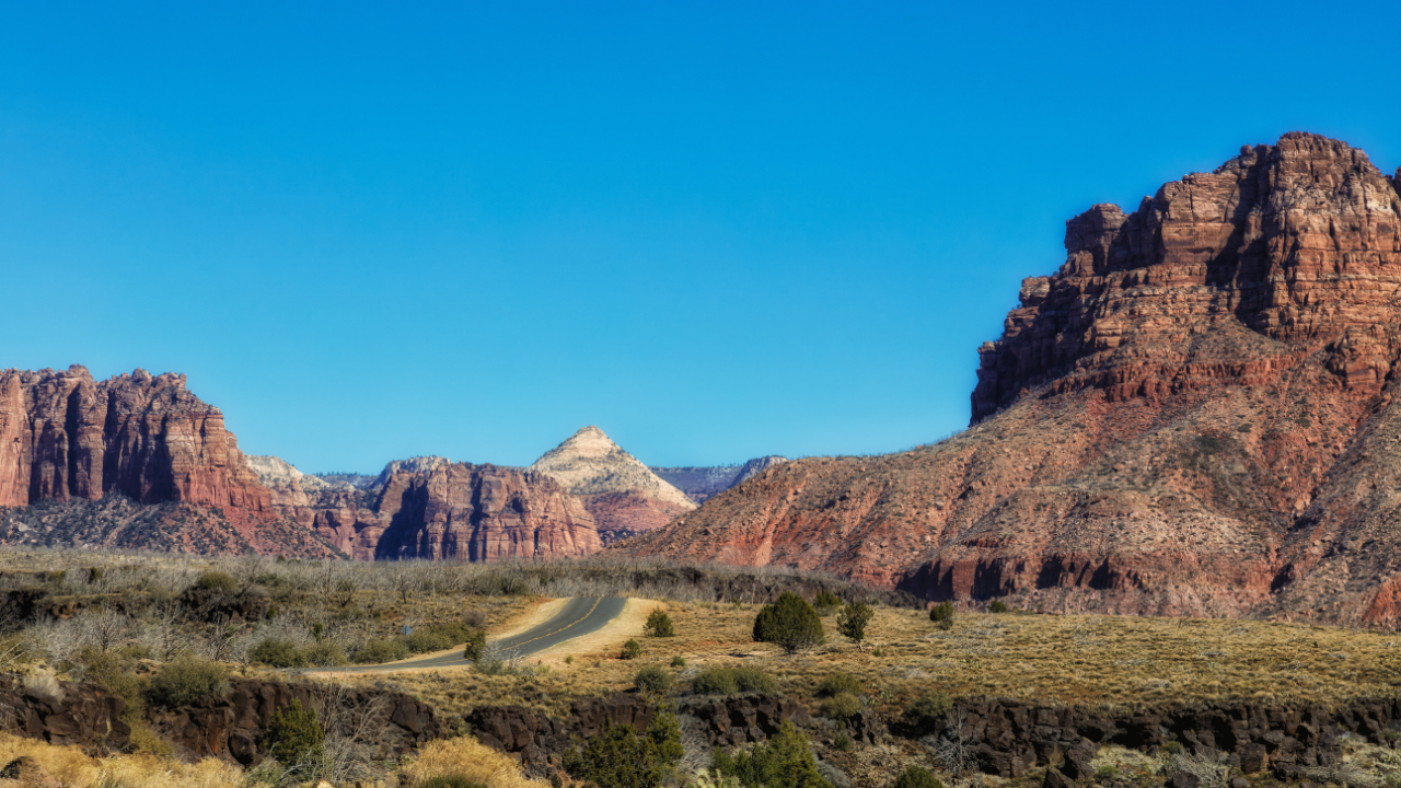 Can You Drive In Zion National Park? (What You Need to Know) We're in