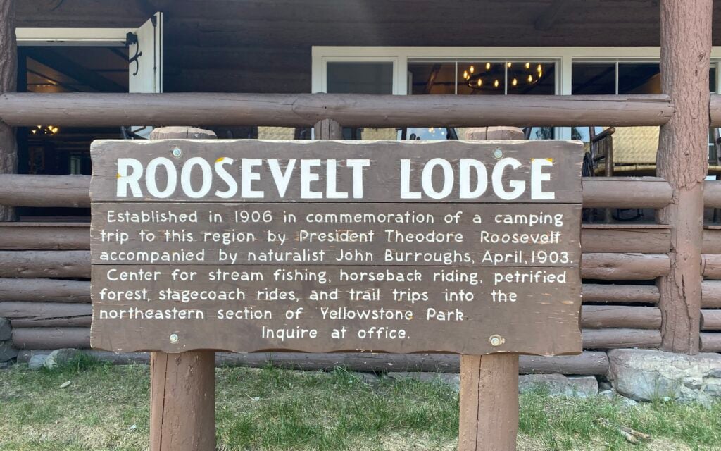 roosevelt in Yellowstone