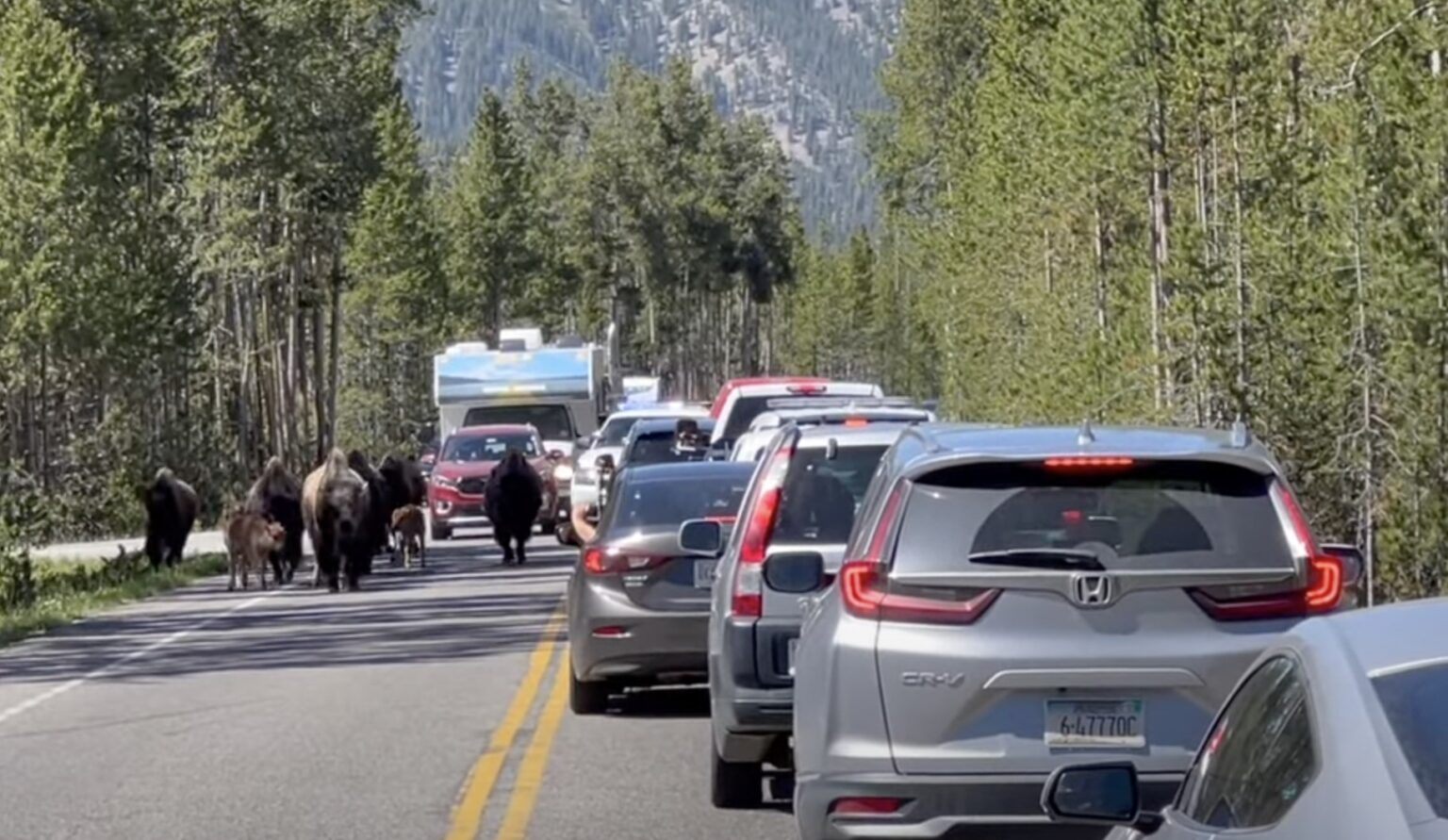 How to Plan the Perfect Trip to Yellowstone in 2026 - We're in the Rockies