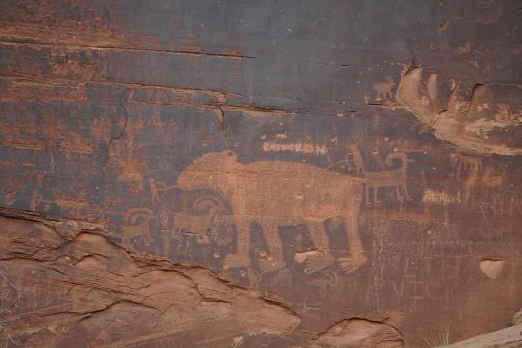 petroglyphs