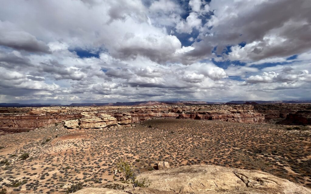 Slickrock trail in Needles district of Canyonlands