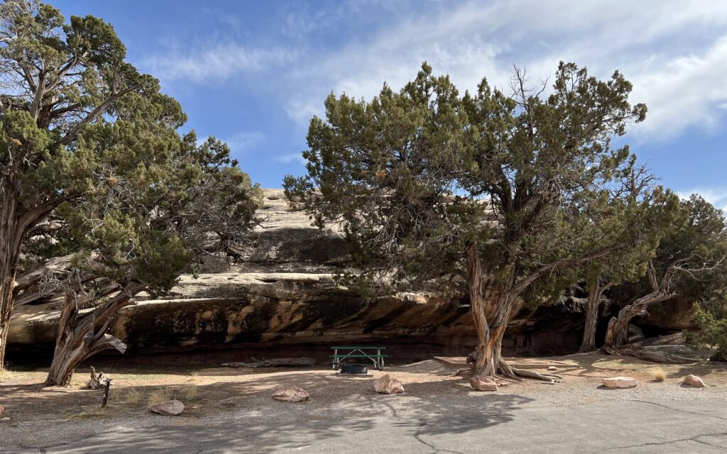 Needles Campground in Canyonlands