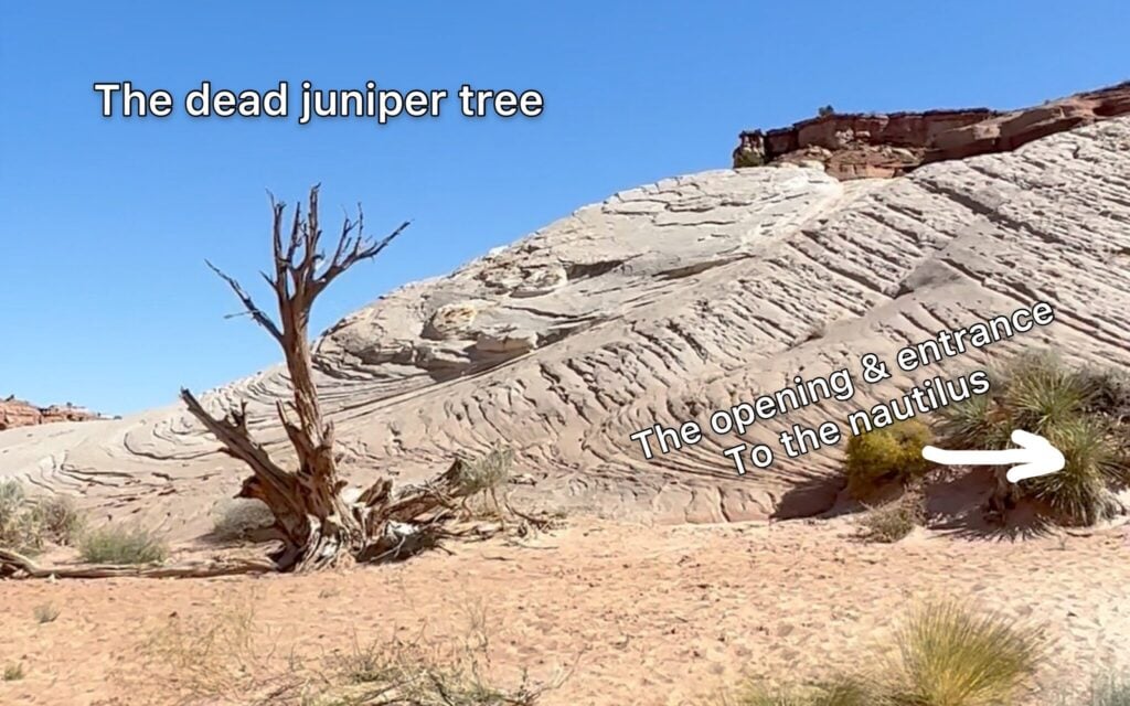 Opening to trail in desert