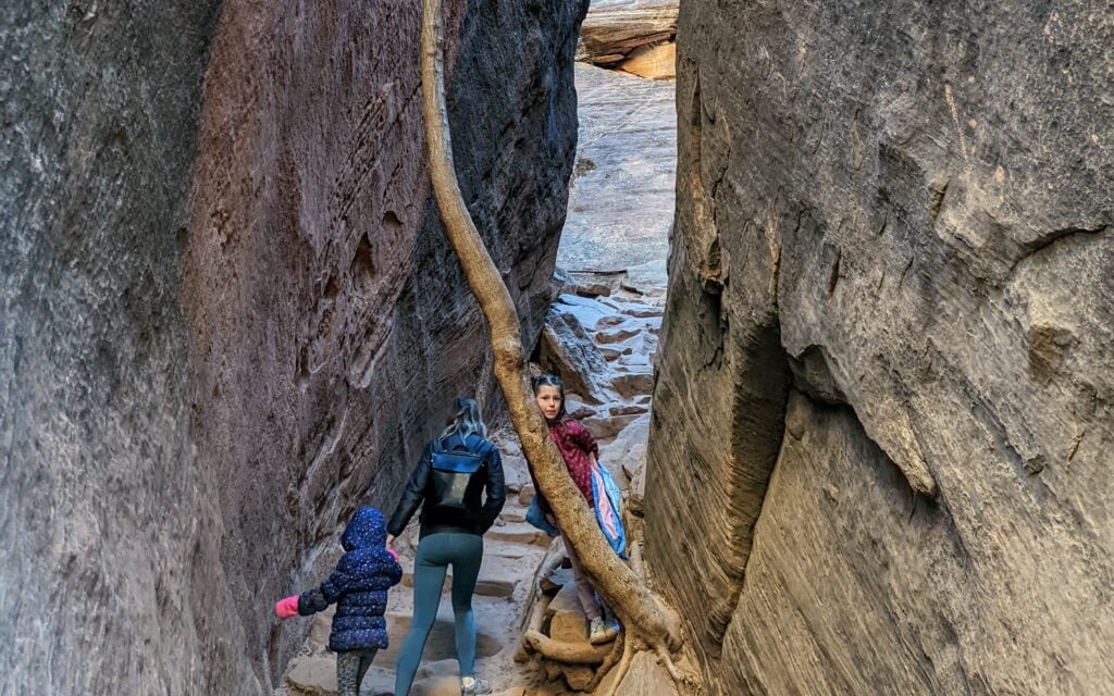 kids hiking on Middle Emerald Pool Trail