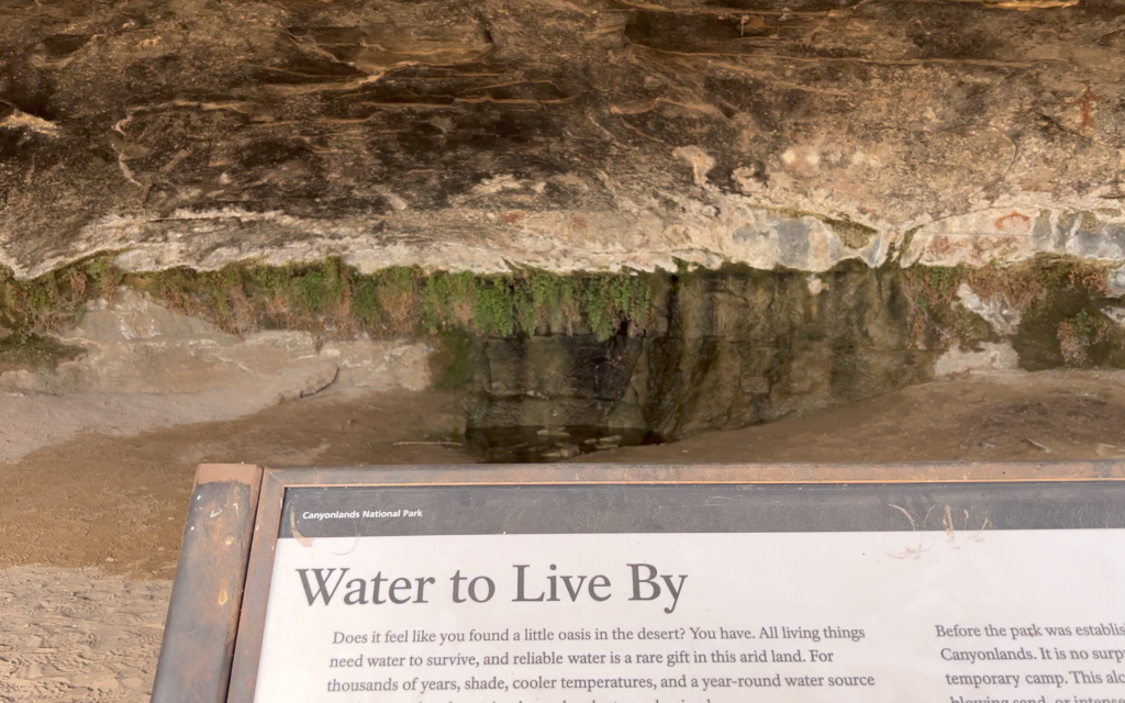 cave spring