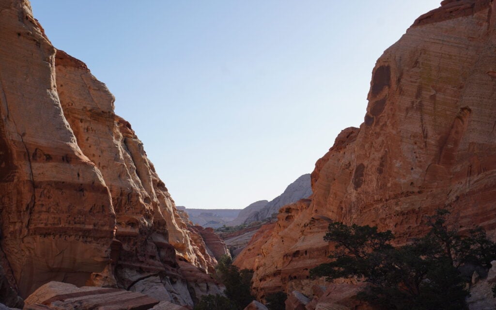 red rock canyon