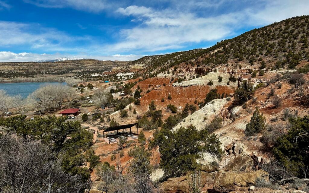 petrified forest state park