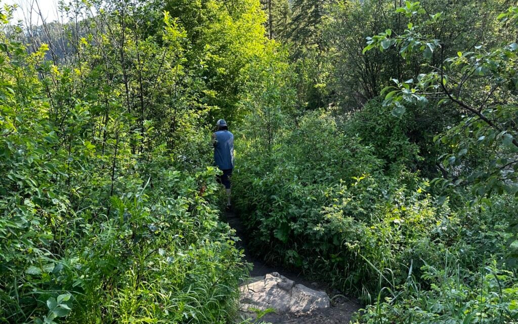 Obstacles on the trail to Devil's bathtub