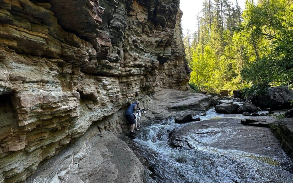 man and dog following narrow path along trail in winter