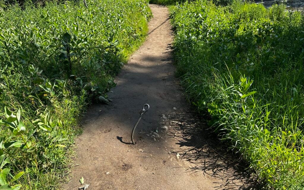 weird but dangerous object in the middle of path