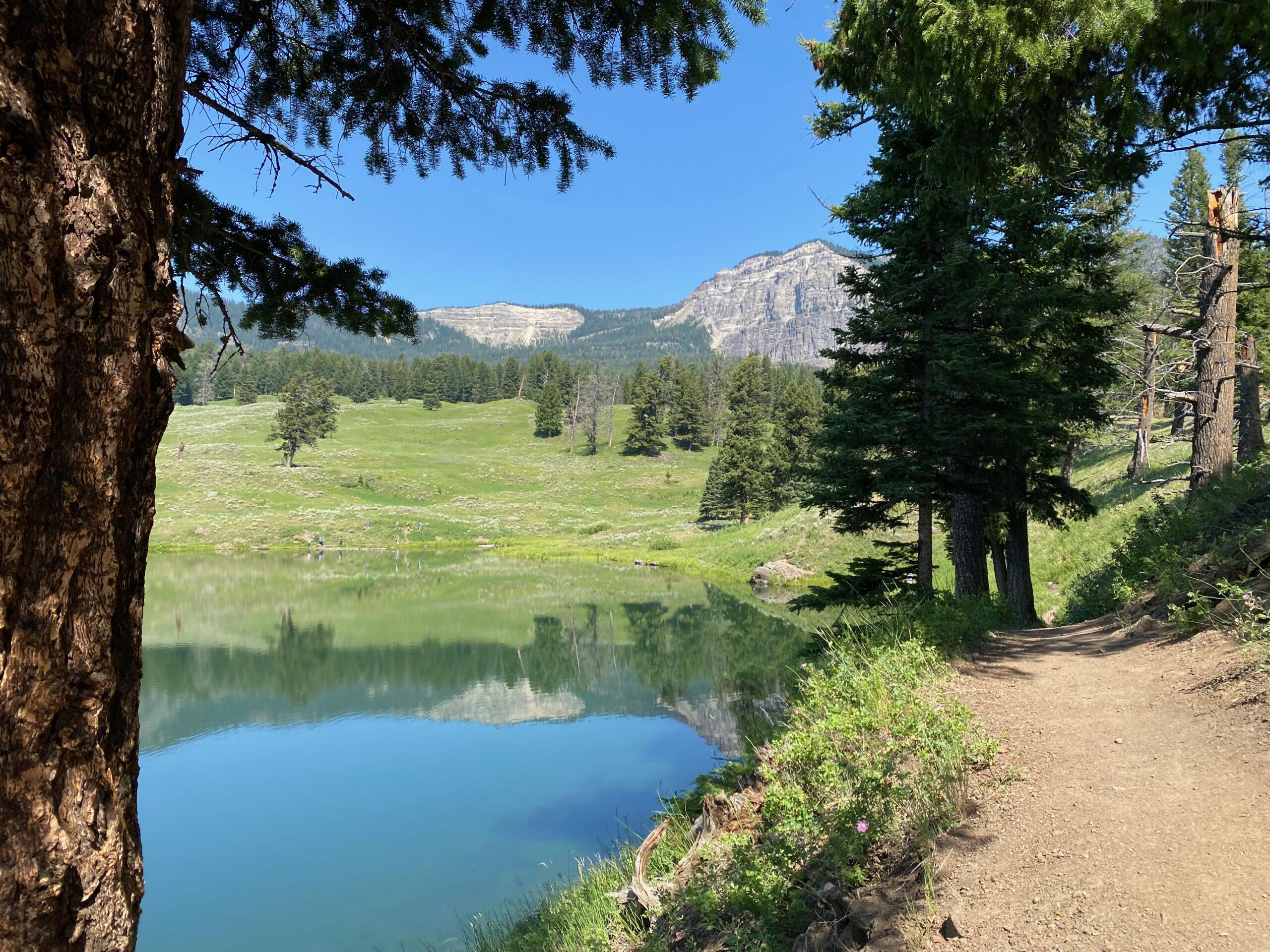 lake and valley with snow capped mountain in background