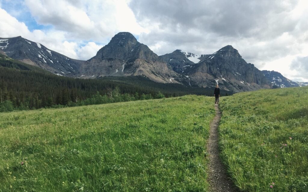 Person on trail in the distance in field with mountains behind in Glacier