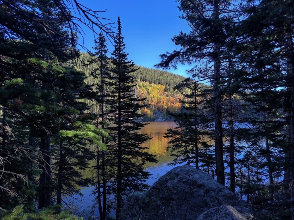 view of lake between the trees