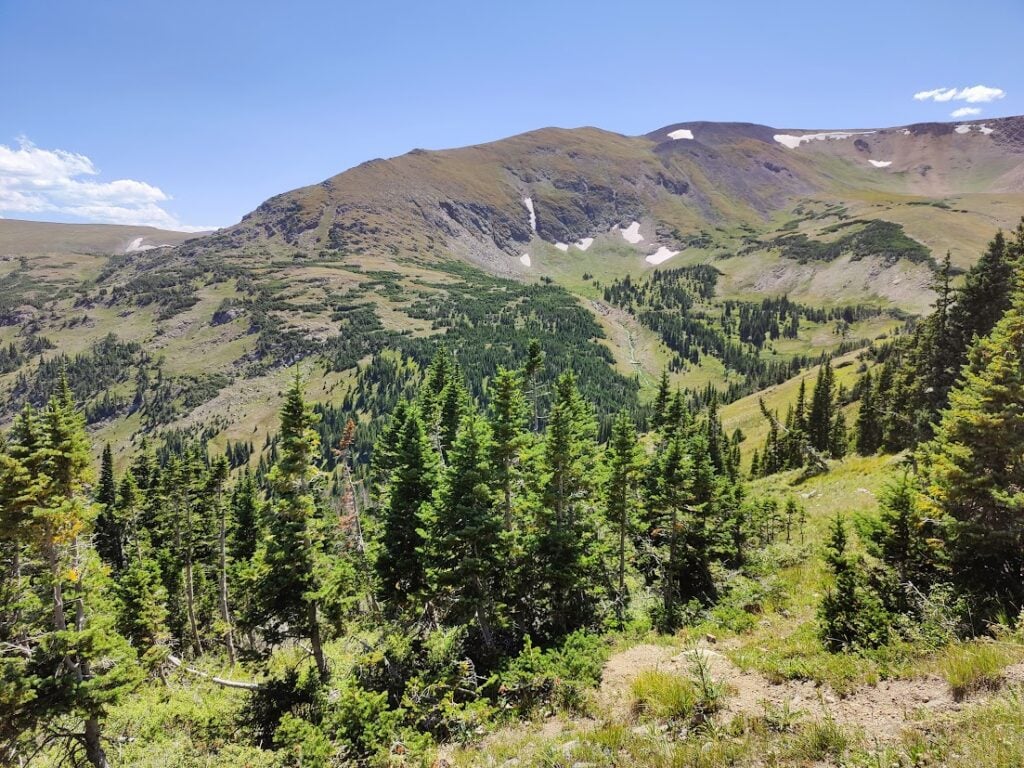 forest and mountains in Rocky Mountain NP