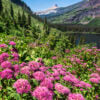Canadian Rockies Bundle