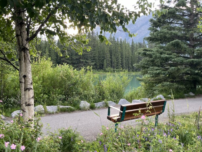Banff vs Canmore: Where Should You Stay? - wereintherockies