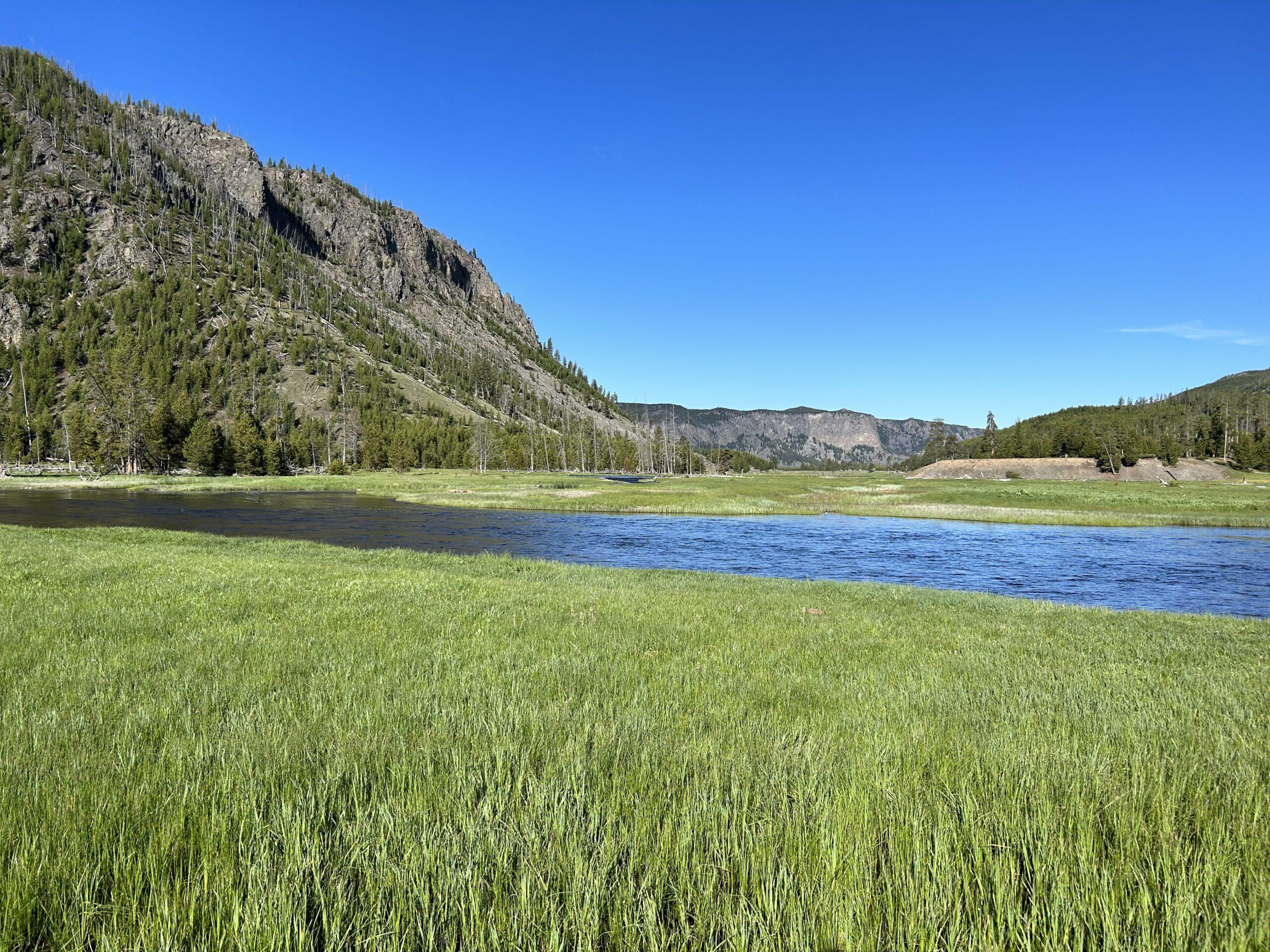 River running through Madison Valley