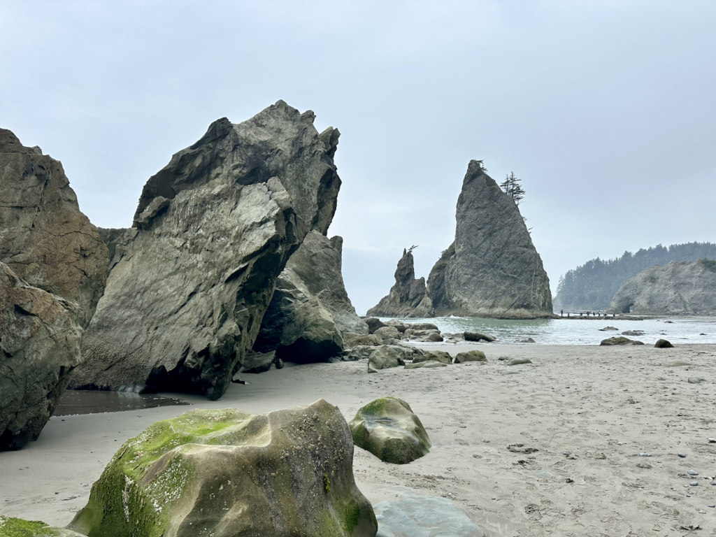 beach with large boulders