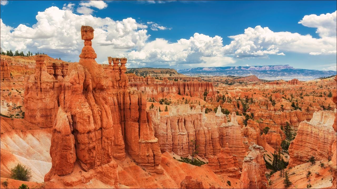 hoodoos in Bryce Canyon