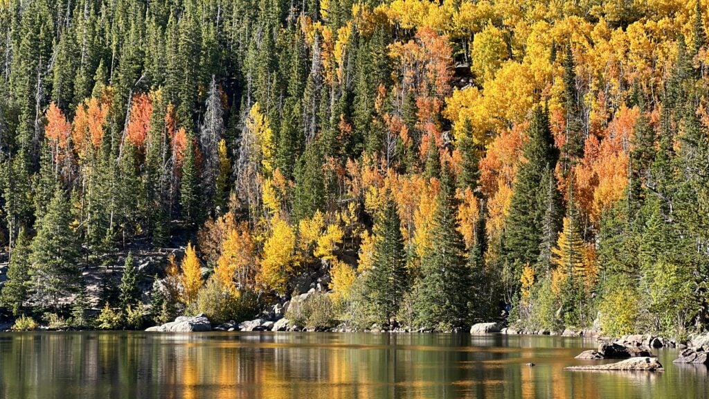 changing leaves in Grand Teton
