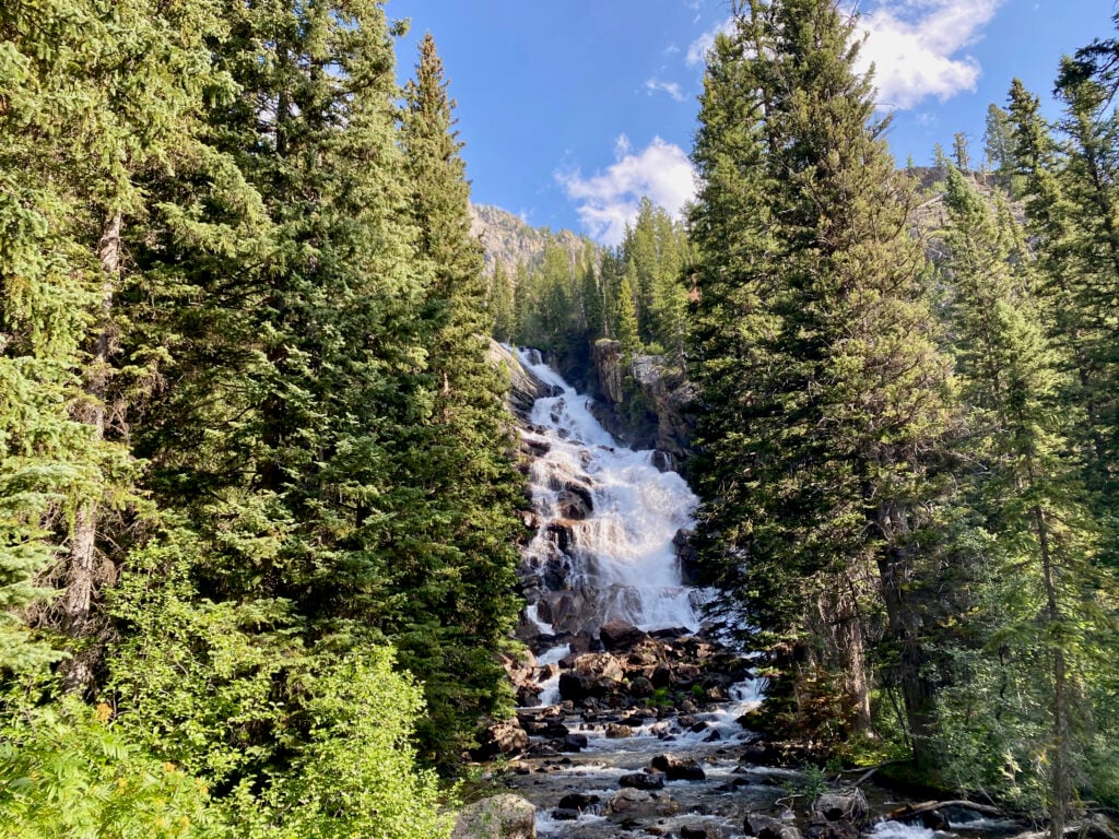 waterfall in woods