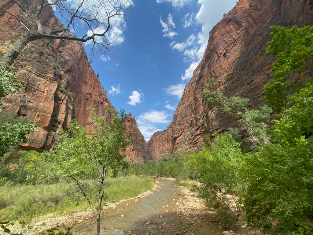 Riverside Walk in Zion Canyon