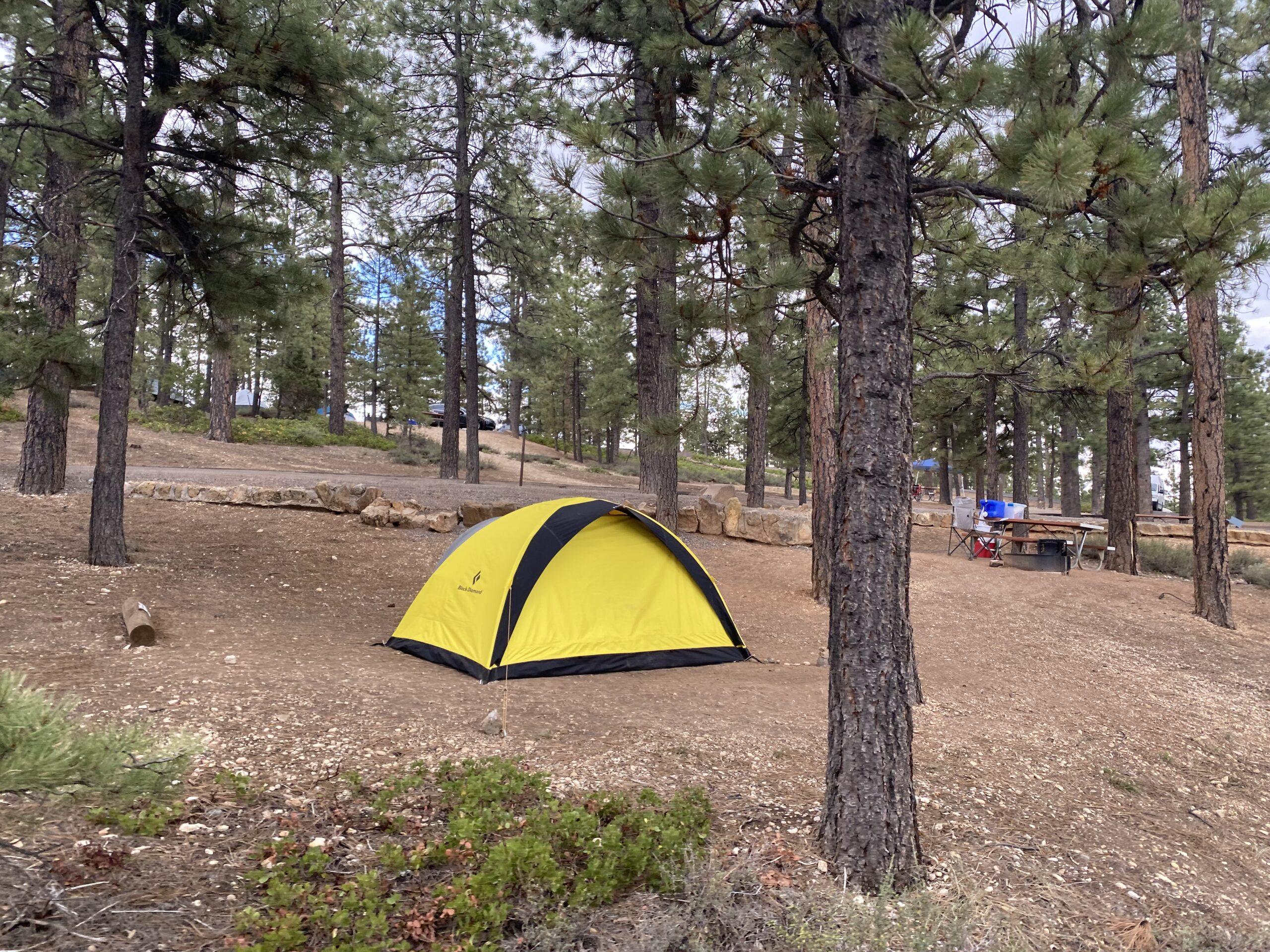 tent at campsite among trees