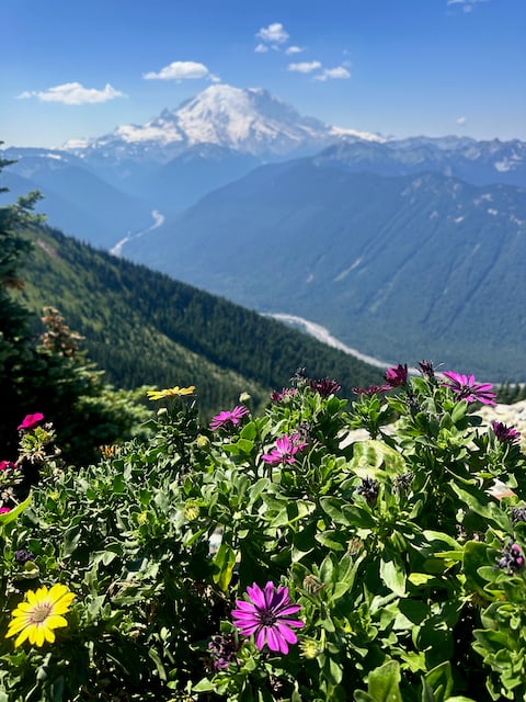wildflowers