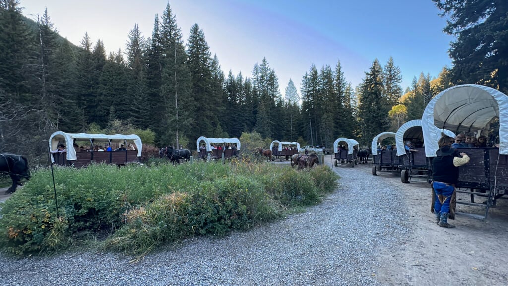 covered wagons circling