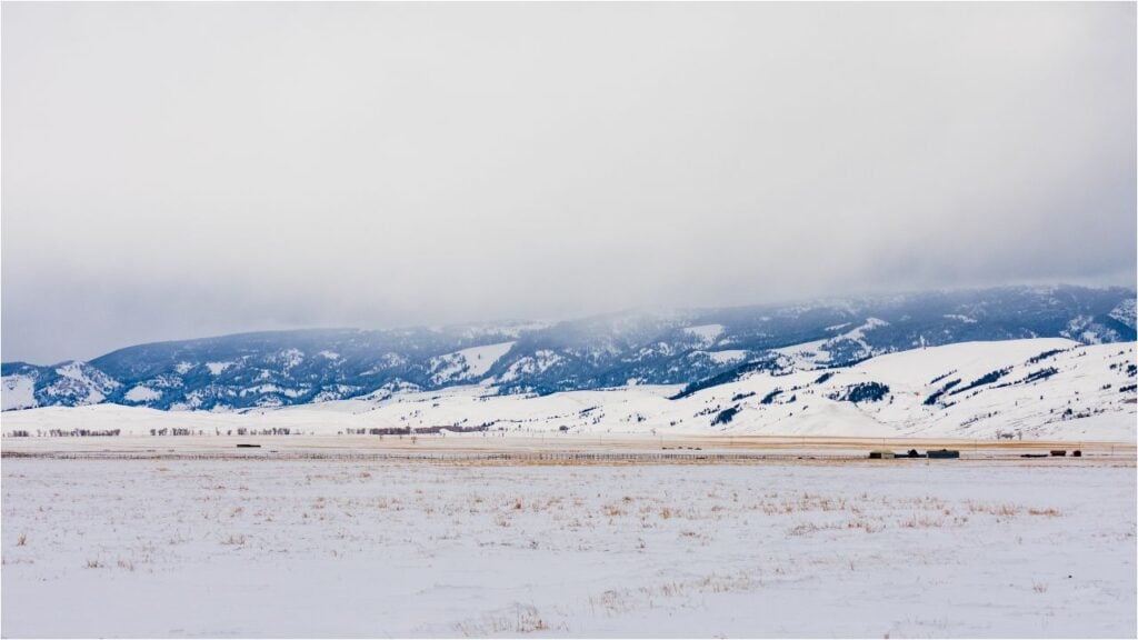 snow in Grand Teton