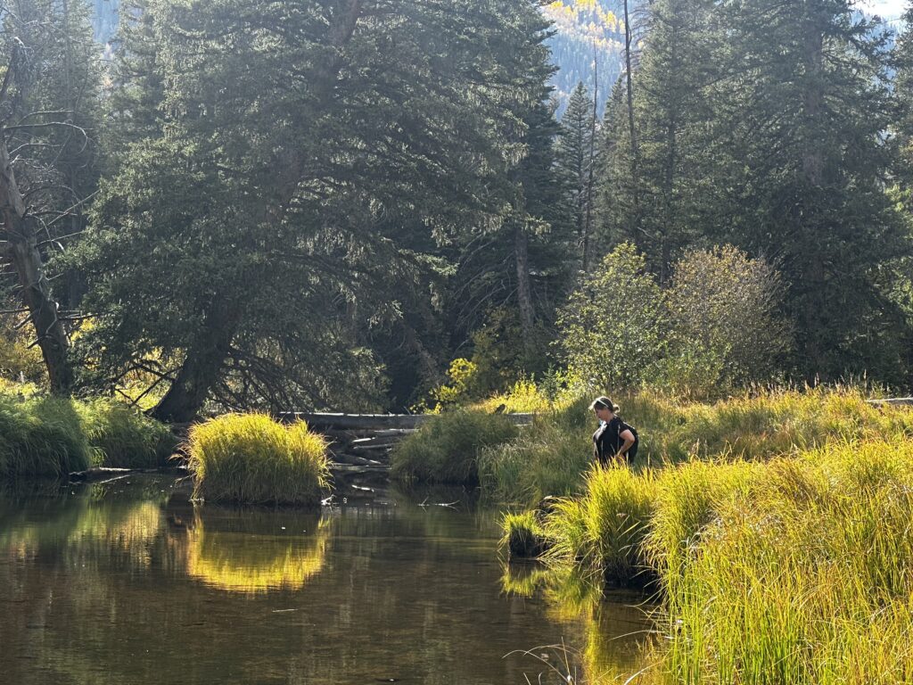 Woman looking into stream standing in yellow grass