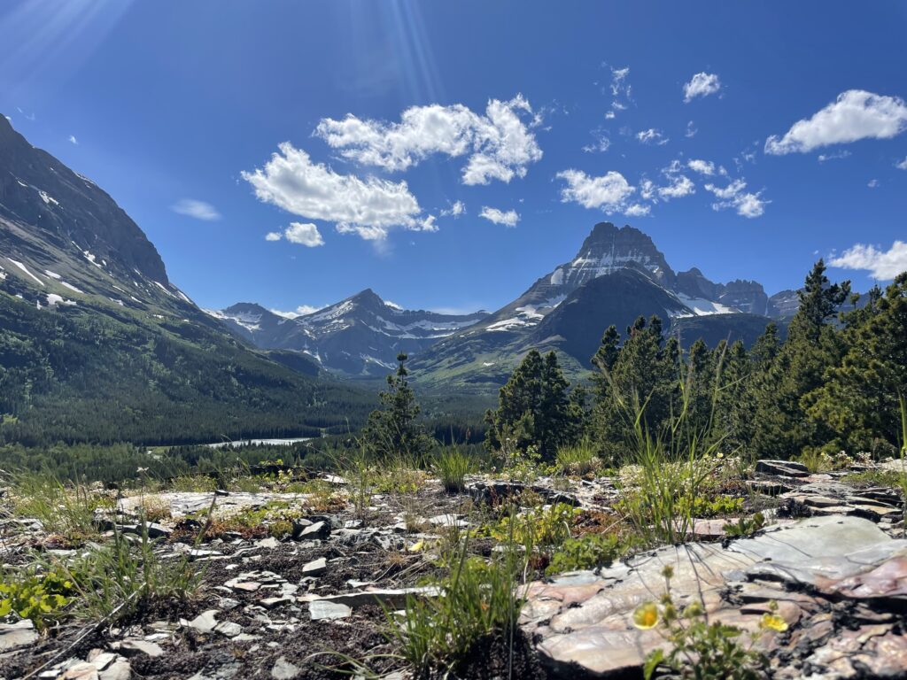 View of mountains through meadow