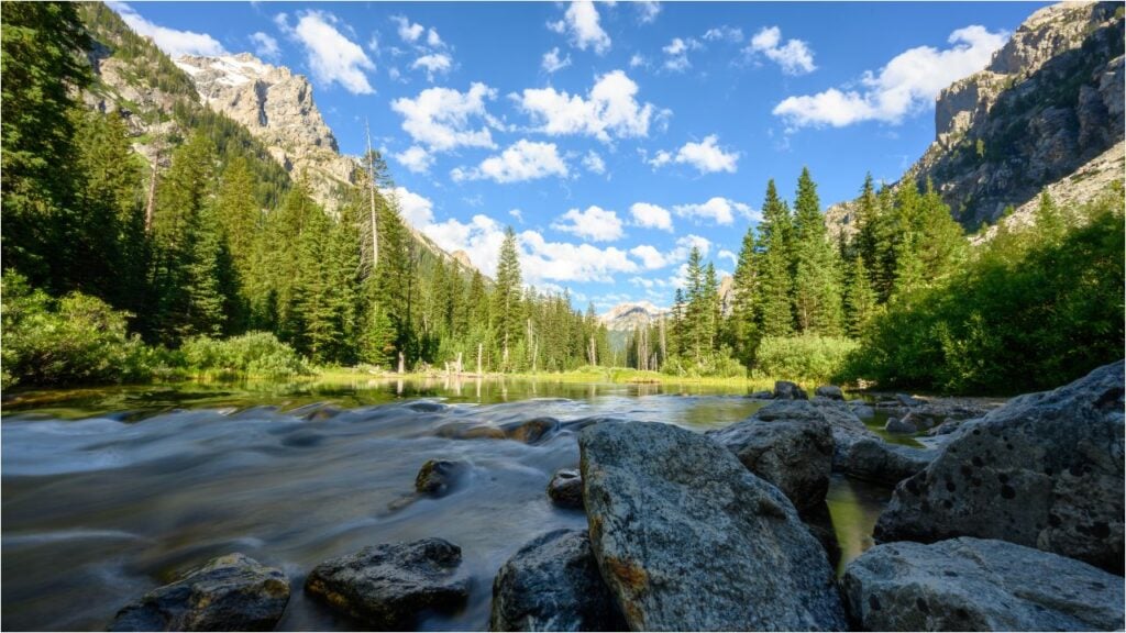 stream flowing through canyon