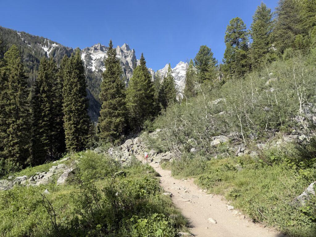 hiking trail in Teton Mountains