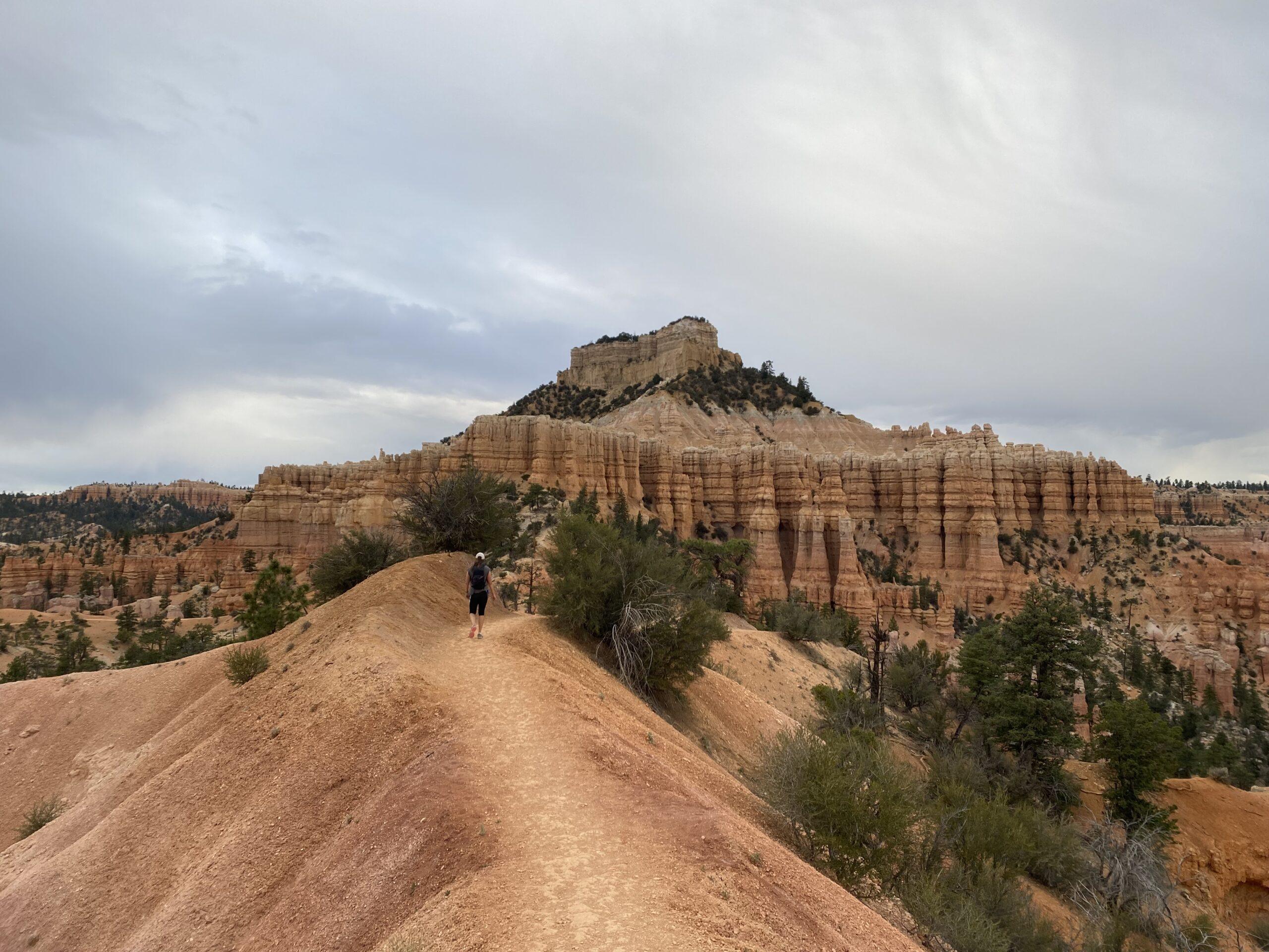 hiker on trail in red rock desert