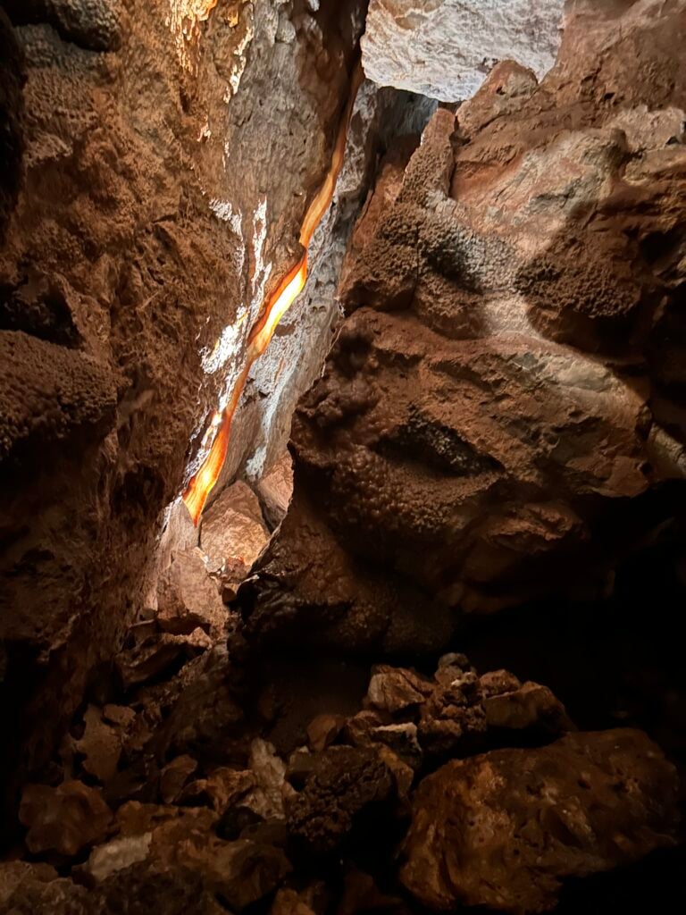 Cave Bacon