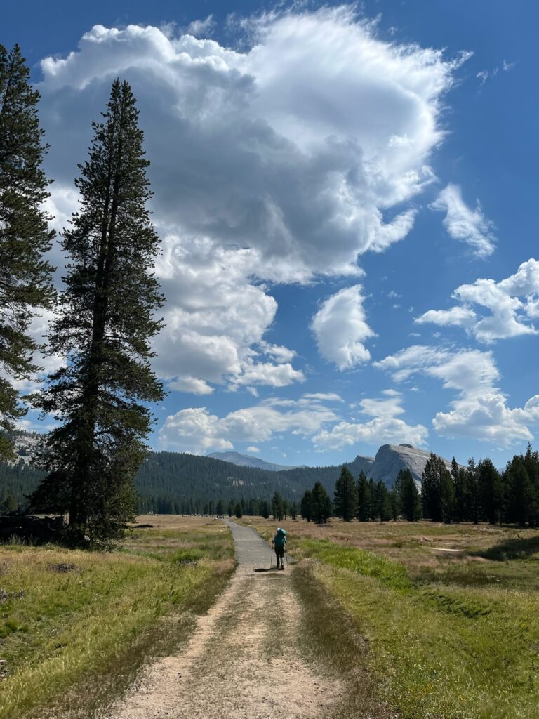 person walking with hiking poles on trail