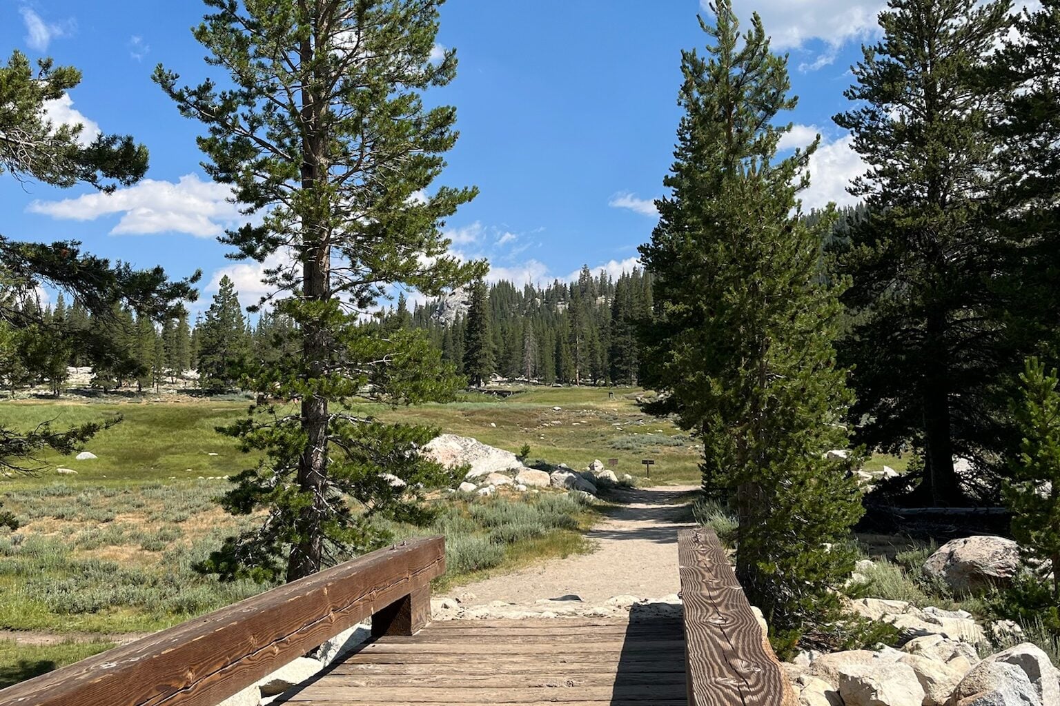bridge along trail in forest