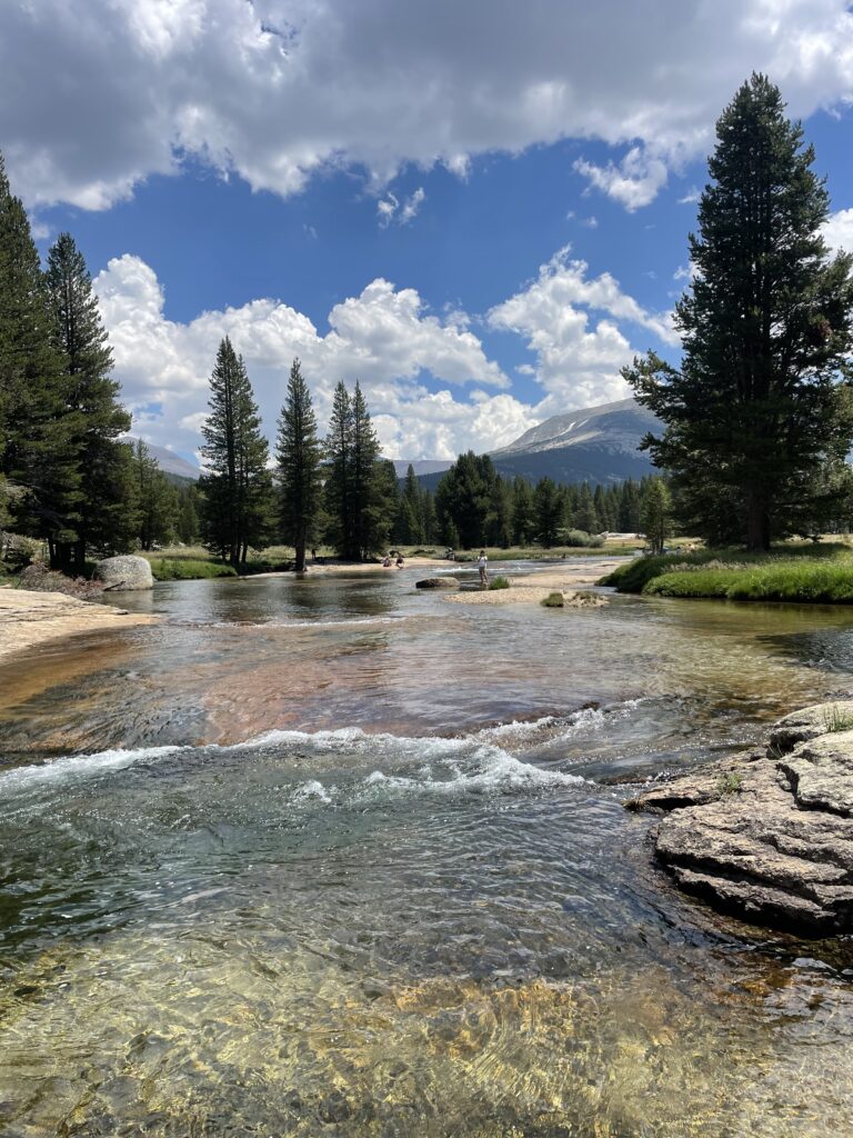 person standing in the middle of river