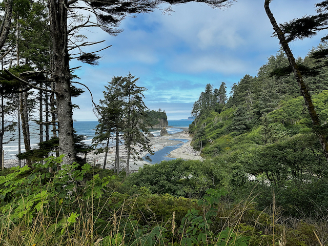 view of beach from above through the trees