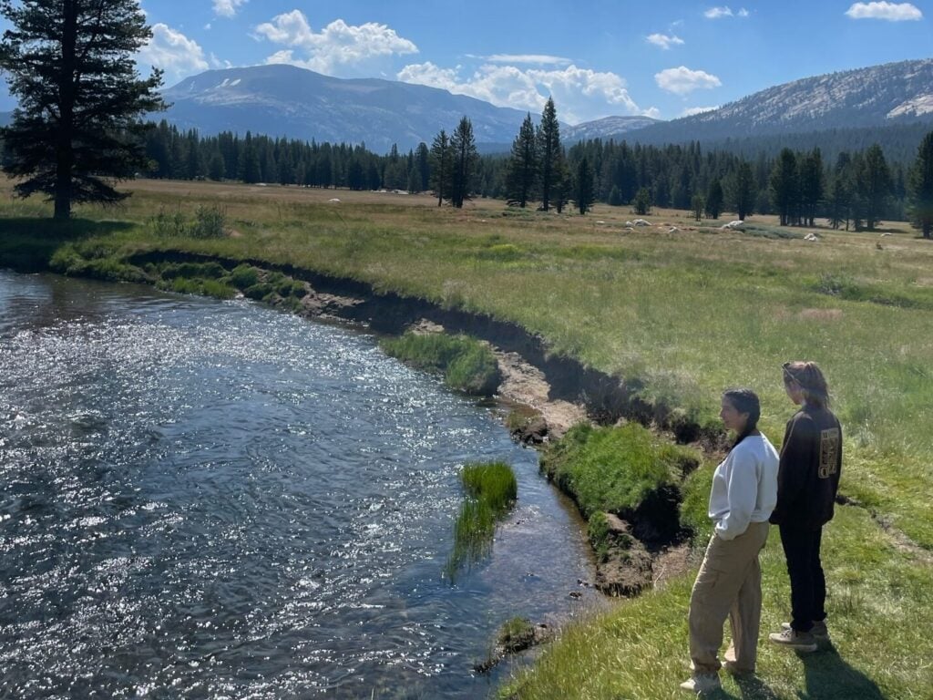 people standing on grass near river