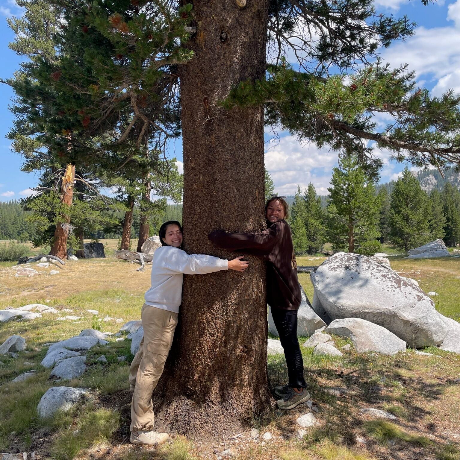 women hugging tree in woods