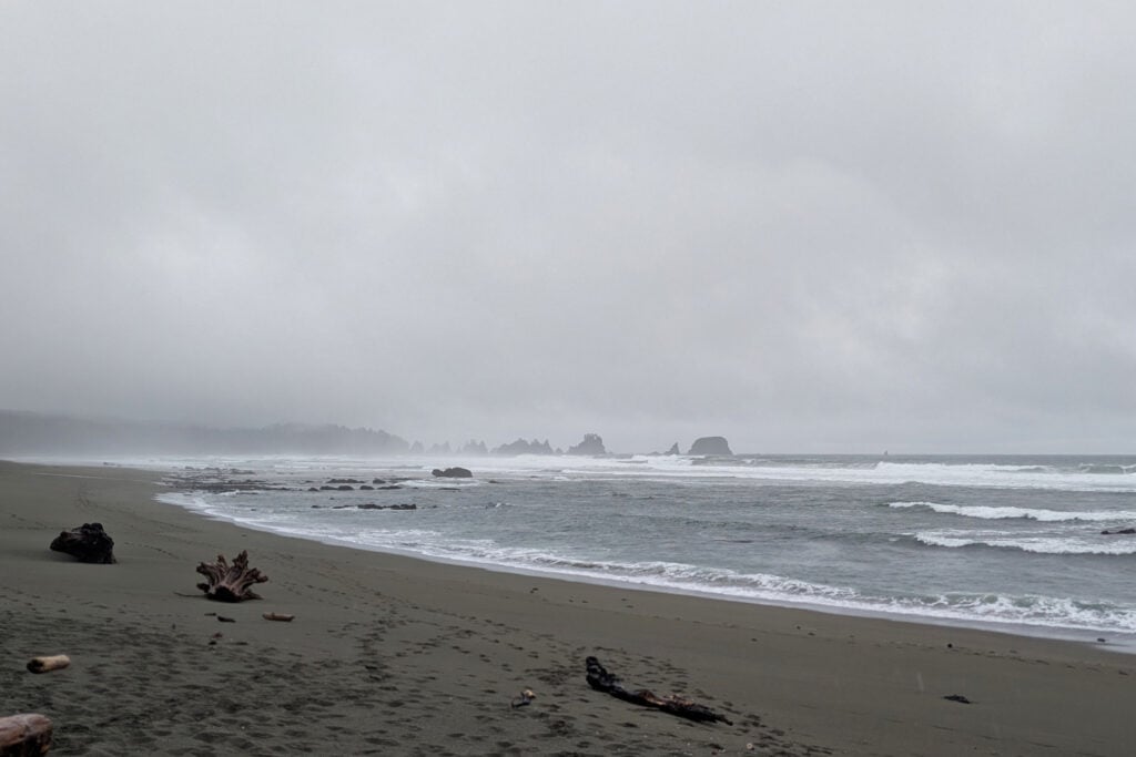 beach and mist over ocean